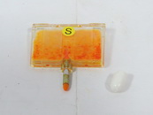 Fiber Pen